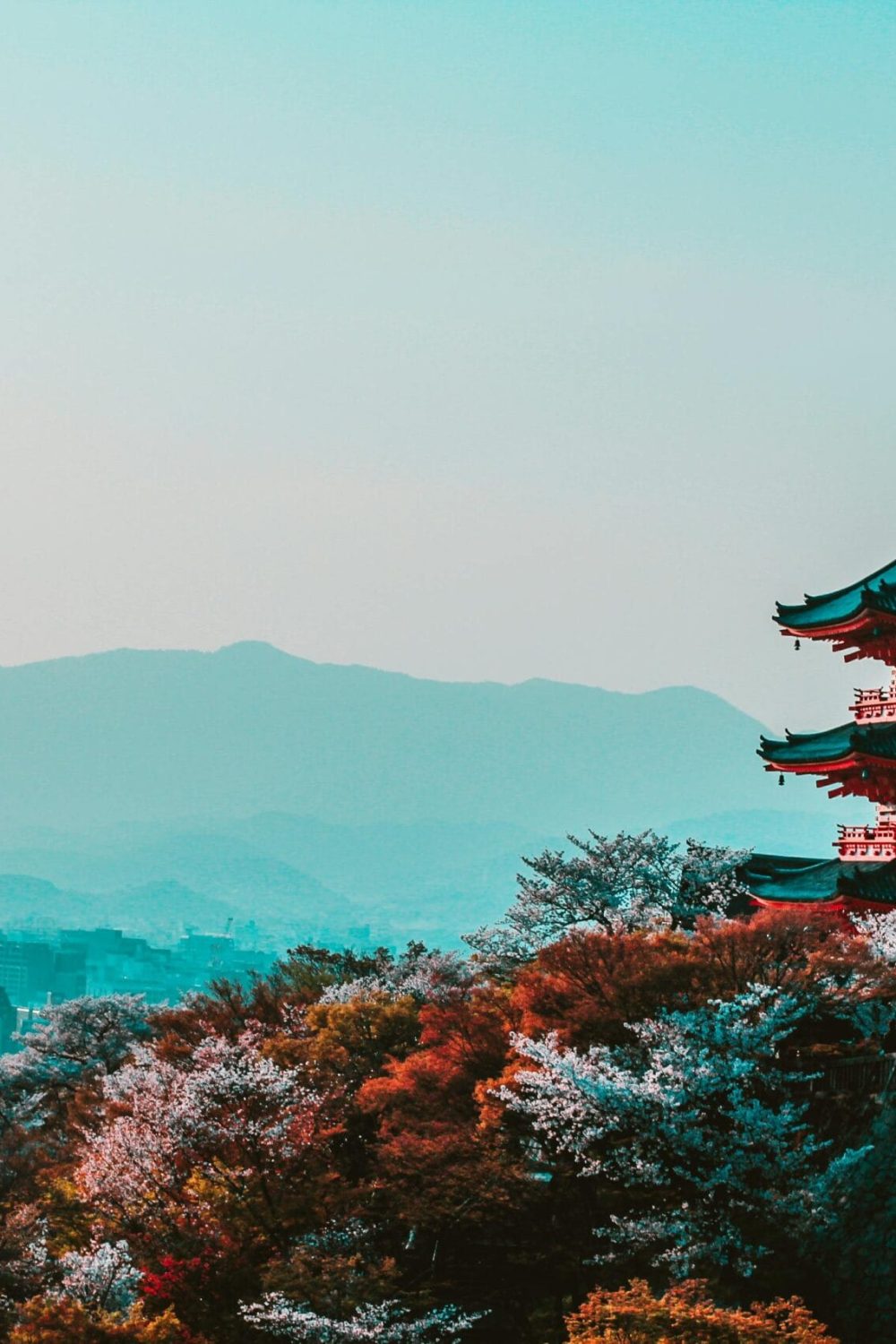 Scenic view of Kiyomizu-dera Temple with cherry blossoms in Kyoto, Japan, capturing traditional Japanese architecture at twilight.