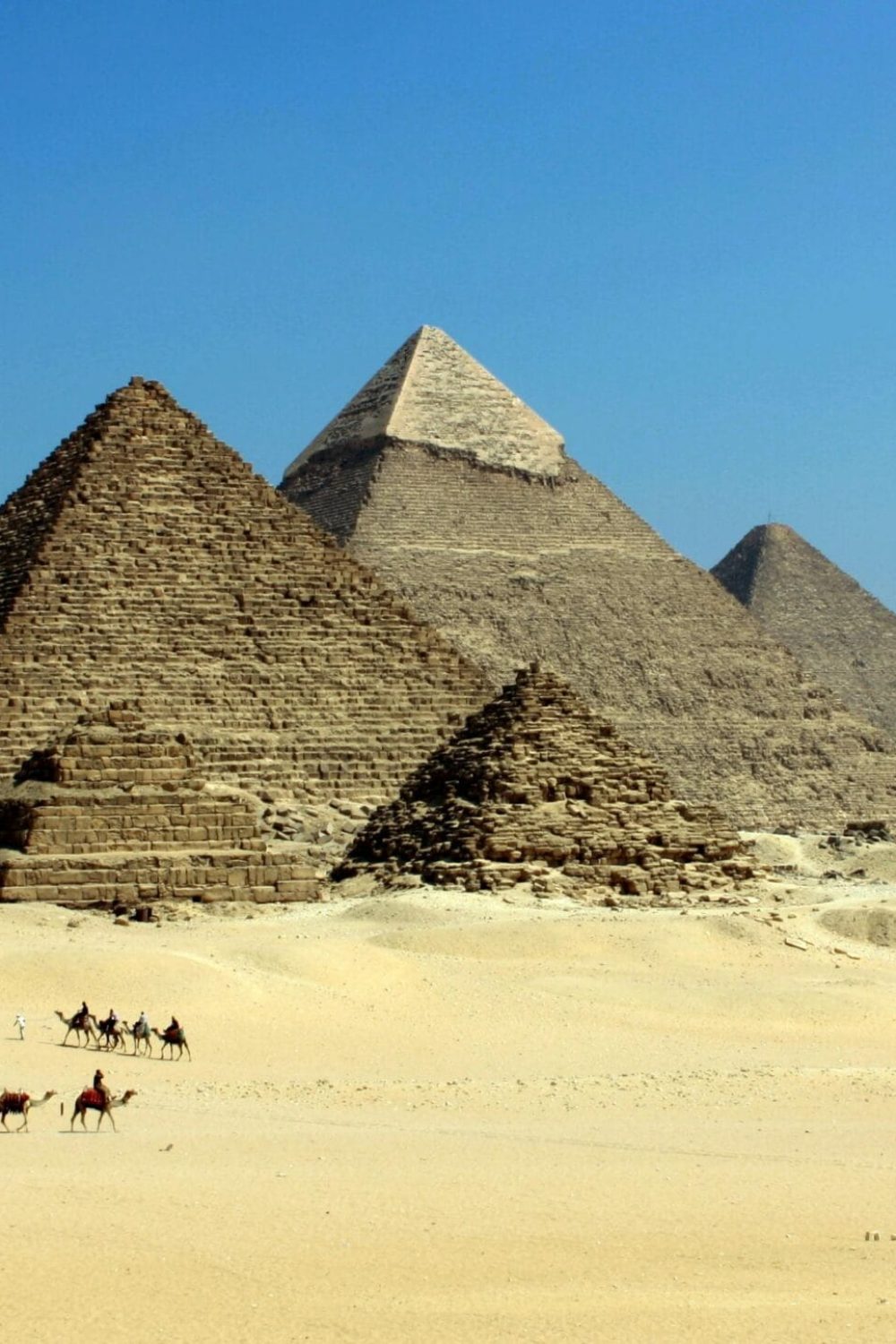The iconic Pyramids of Giza under a clear blue sky with camels traversing the sandy desert.